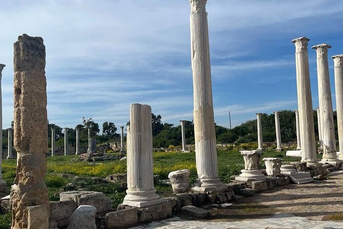 Day Tour to Famagusta, Ghost Town & Ancient Salamis - Lunch Menu