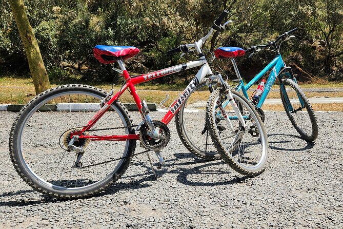 Day Tour to Hells Gate National Park and Lake Naivasha - Booking Information