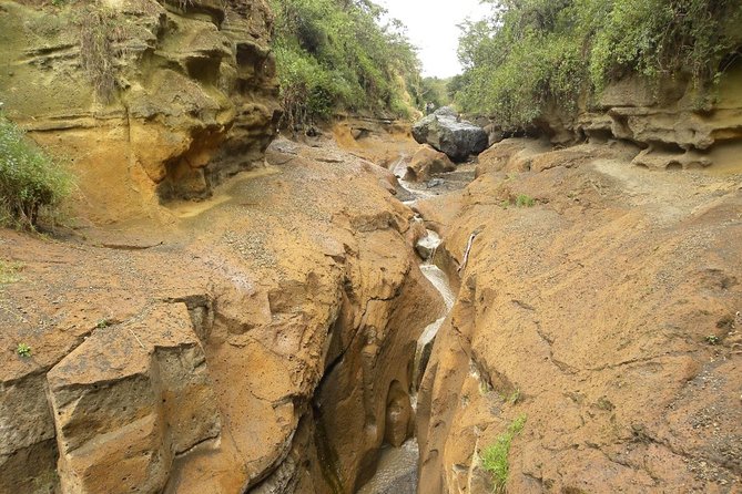 Day Tour to Hells Gate Park and Lake Naivasha - Booking Information