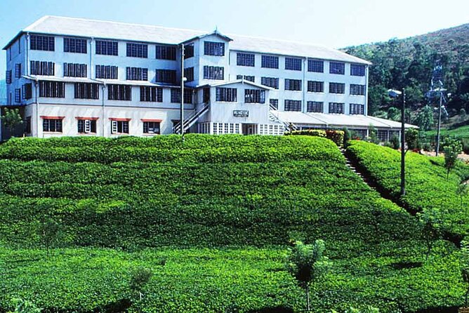 Day Tour to Kandy From Colombo - The Sum Up