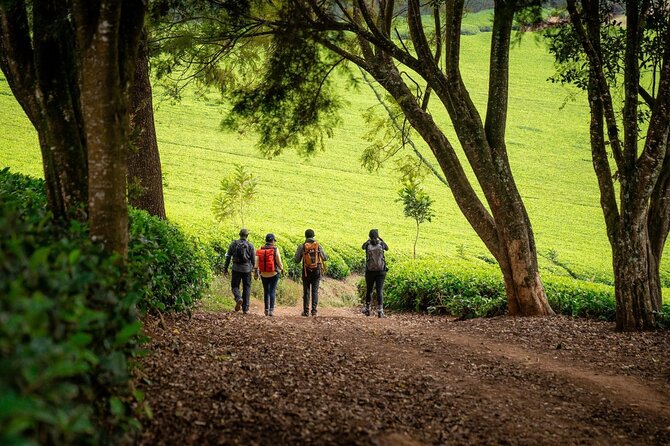 Day Tour to Kiambethu Tea Farm - Lunch Menu