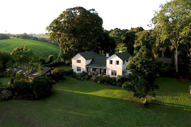 Day Tour to Kiambethu Tea Farm in Limuru - Tour Itinerary