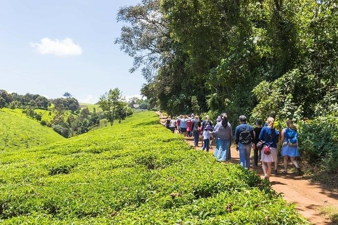 Day Tour to Kiambethu Tea Farm in Limuru From Nairobi - Important Reminders