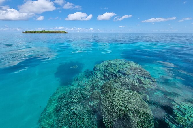 Day Tour to Lady Musgrave Island - Meeting and Pickup