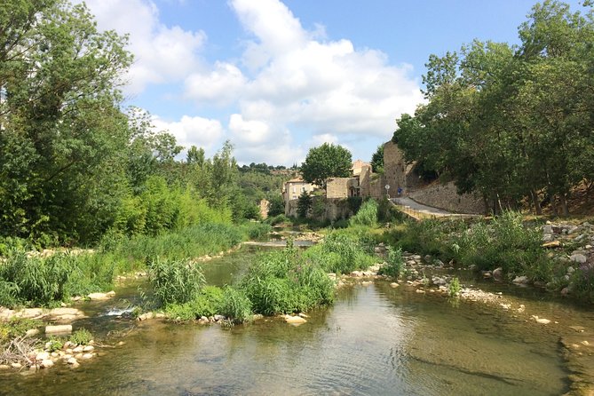 Day Tour to Lagrasse Village and Fontfroide Abbey.Private Tour From Carcassonne. - The Sum Up