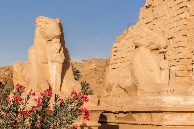Day Tour to Luxor From Aswan by Car - Good To Know