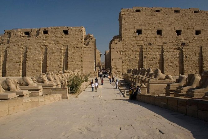 Day Tour to Luxor From Marsa Alam - Customer Reviews and Ratings
