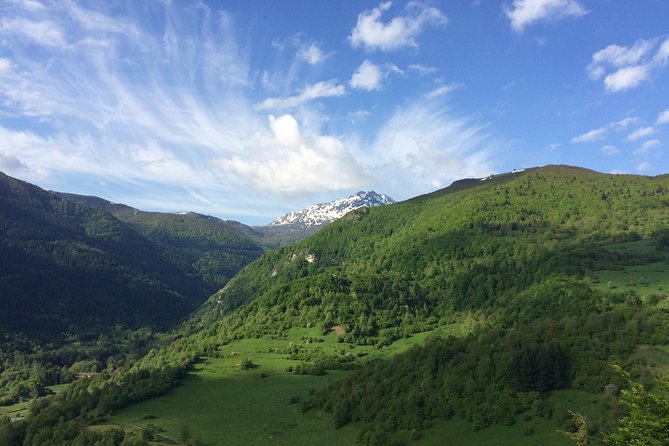 Day Tour to Mirepoix, Montségur, Camon. Private Tour From Carcassonne - Pickup Locations