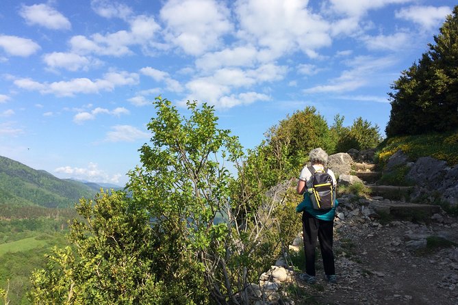 Day Tour to Mirepoix, Montségur, Camon. Private Tour From Carcassonne - Cancellation Policy