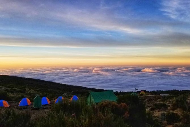 Day Tour To Mt. Kenya - Pricing and Cancellation Policy