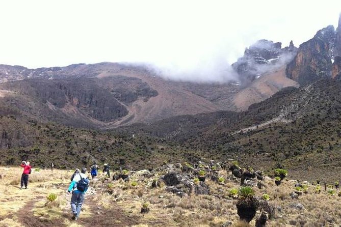 Day Tour To Mt. Kenya - Good To Know