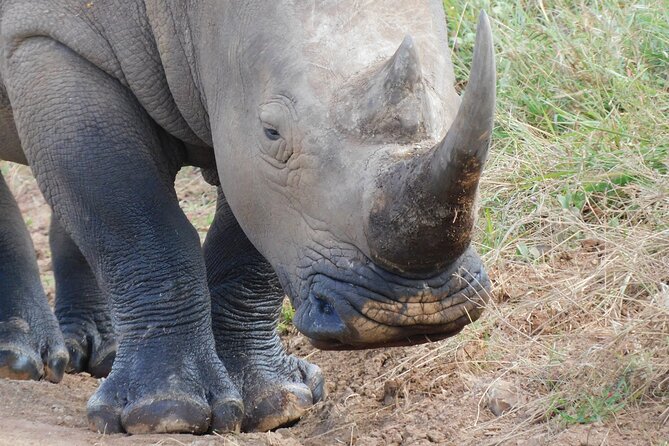 Day Tour to Nairobi National Park and Giraffe Center - Location Details