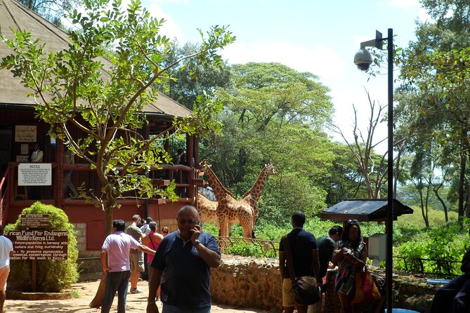 Day Tour to Nairobi National Park and Giraffe Center - Review Insights
