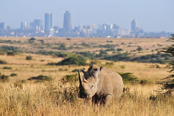 Day Tour to Nairobi National Park and Giraffe Center - Pickup and Transportation