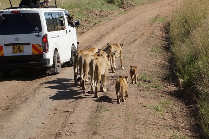 Day Tour to Nairobi National Park and Giraffe Center - Frequently Asked Questions