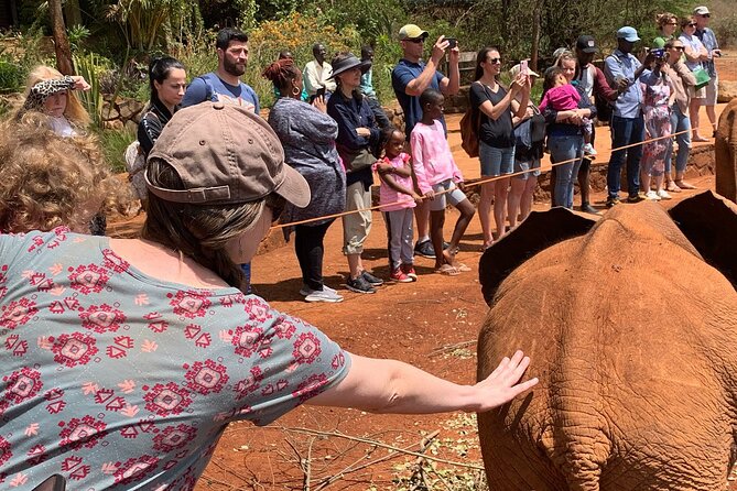 Day Tour to Nairobi National Park, Elephants, and Giraffe Center - Customer Reviews