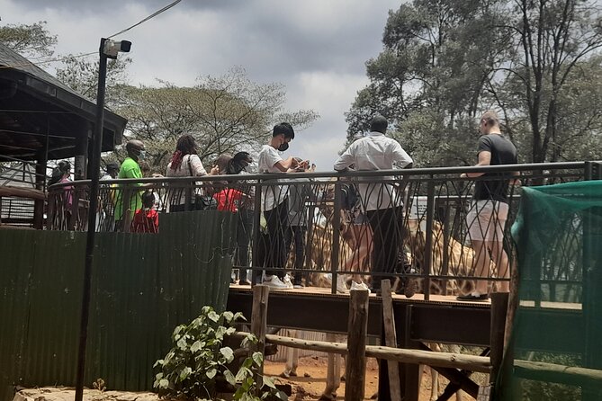 Day Tour to Nairobi National Park, Elephants, and Giraffe Center - Booking Directions