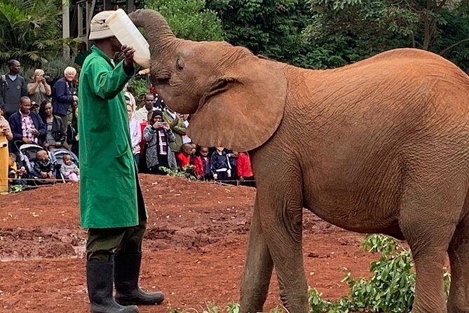 Day Tour to Nairobi National Park, Elephants, and Giraffe Center - Frequently Asked Questions