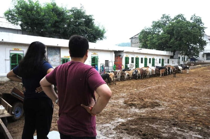 Day Tour to Nathdwara, Eklingji & Haldighati from Udaipur - Exploring Rajasthan’s Heritage: A Day Tour to Nathdwara, Eklingji & Haldighati from Udaipur