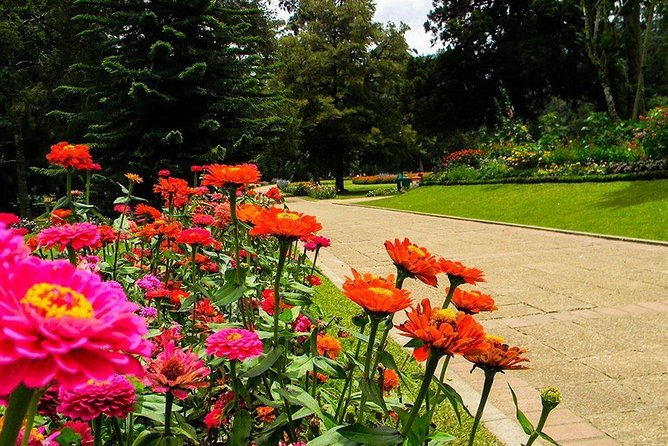 Day Tour to Nuwara Eliya From Kandy by Lux Tours Lanka - Traveler Photos