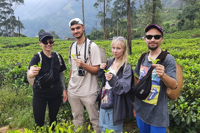 Day Tour to Nuwareeliya (Little England) From Kandy - Visiting Ramboda Waterfall