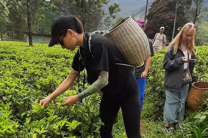 Day Tour to Nuwareeliya (Little England) From Kandy - Exploring Nuwara Eliya