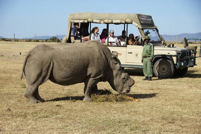 Day Tour to Olpajeta Conservancy From Nairobi - Cancellation Policy