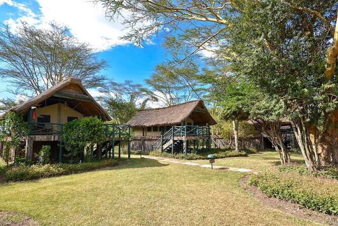 Day Tour to Olpajeta Conservancy From Nairobi - Directions and What To Expect