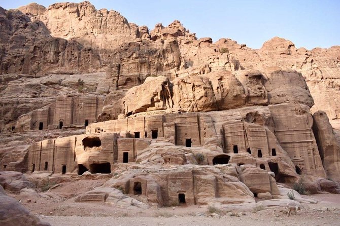 Day Tour To Petra From Amman - Frequently Asked Questions
