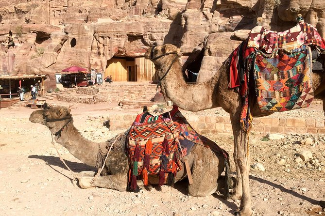 Day Tour to Petra From Aqaba - Good To Know
