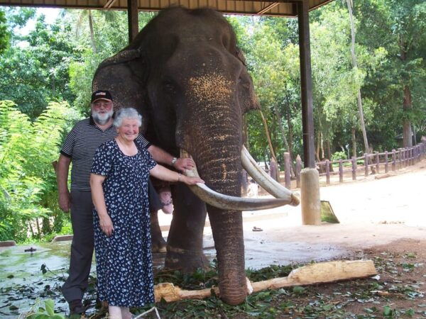 Day Tour to Pinnawala Elephant Orphanage With Indika - Restrictions and Limitations