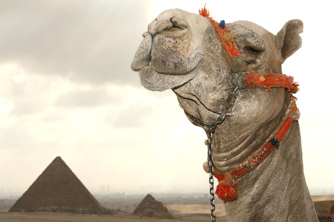 Day Tour to Pyramids From Alexandria Port - Tour Highlights