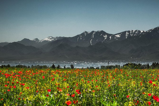 Day Tour to Shahrisabz - Transportation Details