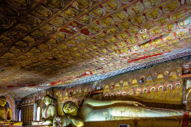 Day Tour to Sigiriya Rock and Dambulla Temple From Colombo - Meeting and Pickup Details
