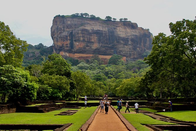 Day Tour to Sigiriya Rock and Dambulla Temple From Trincomalee - Highlights of the Tour