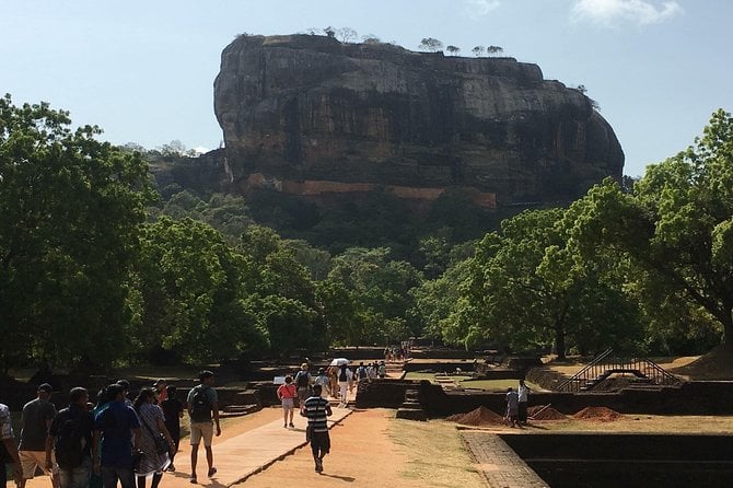Day Tour to Sigiriya Rock Fortress & Dambulla Rock Cave Temple. - Experience Details