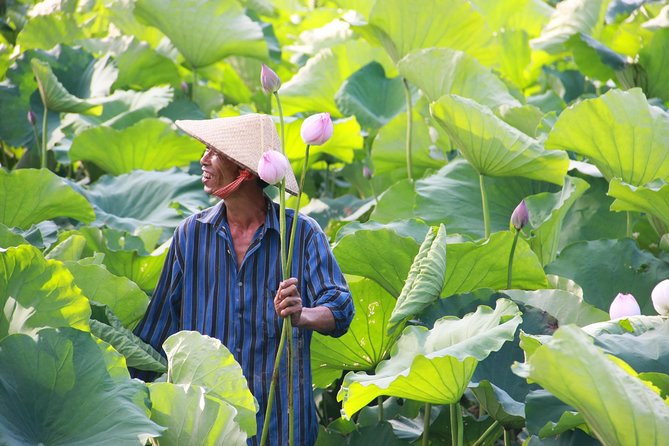 Day-Tour to the Duong Lam Ancient Village - Practical Information