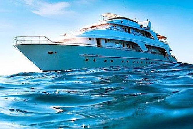 Day Tour to the Red Sea From Cairo - Additional Information