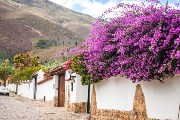 Day Tour to Villa De Leyva - Free Cancellation and Flexible Payment