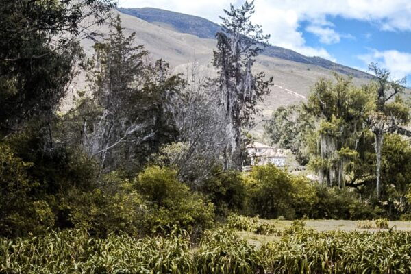 Day Tour to Villa De Leyva - Hotel Pickup and Duration