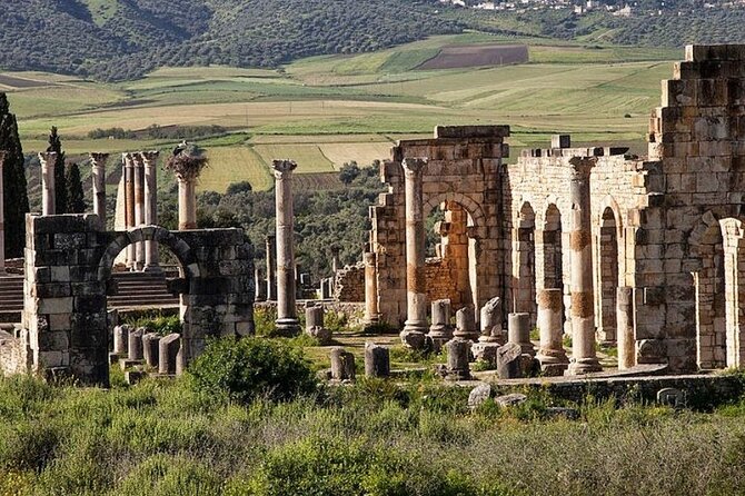 Day Tour to Volubilis & Meknes From Fes - Sightseeing in Volubilis