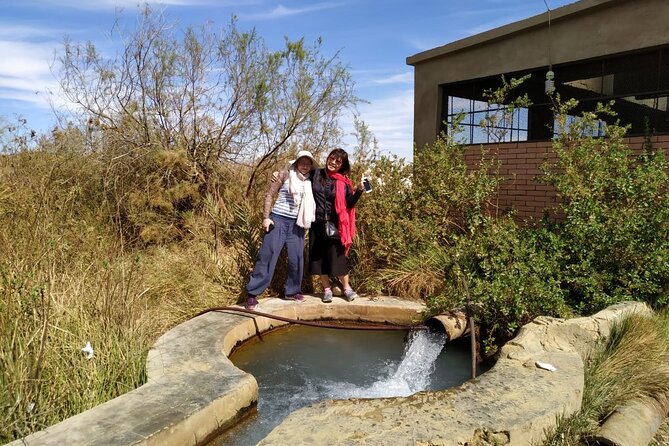 Day Tour to White Desert and Bahariya Oasis Tour - Reviews Overview