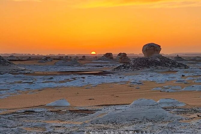 Day Tour to White Desert and Bahariya Oasis Tour - Tour Highlights