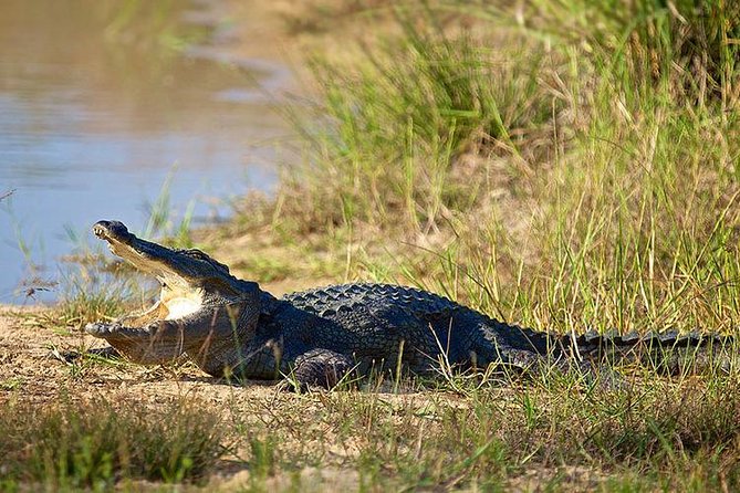 Day Tour to Wilpattu National Park From Colombo - Booking Information