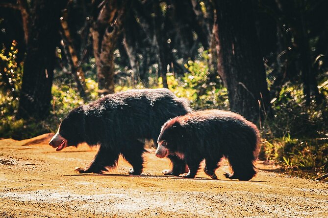 Day Tour to Wilpattu National Park From Negombo - Frequently Asked Questions