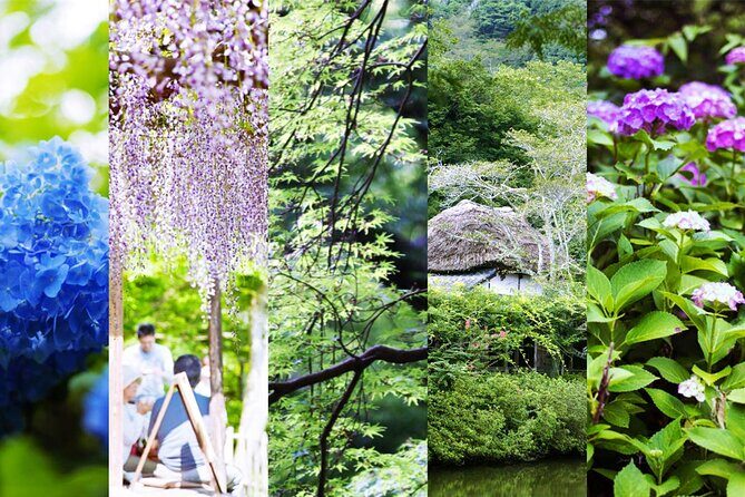 Day Tour to Yutoku Inari Shrine & Sachihime Sake Brewery| Fukuoka - The Sum Up