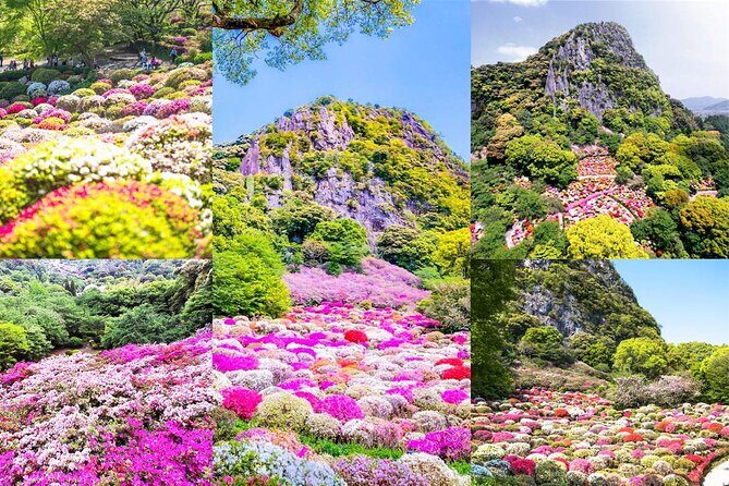 Day Tour to Yutoku Inari Shrine & Sachihime Sake Brewery| Fukuoka - Discovering Yutoku Inari Shrine: A Stunning Spiritual Landmark