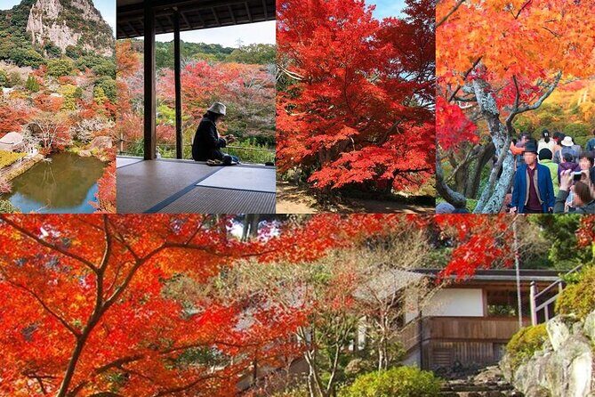 Day Tour to Yutoku Inari Shrine & Sachihime Sake Brewery| Fukuoka - FAQ