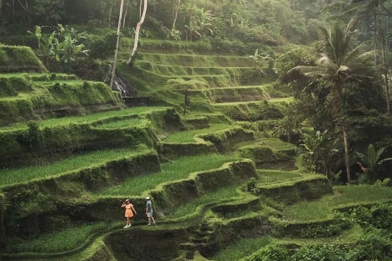 Day Tour Ubud and Mount Batur Jeep Sunrise with Highlight Activities - Booking details worth checking
