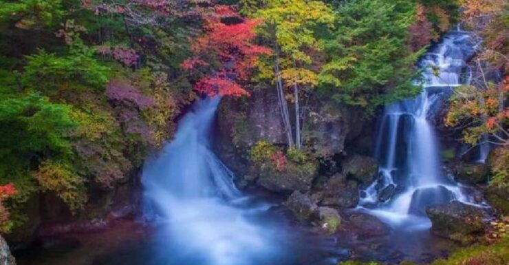 Day Tour Visit to Nikko Toshugo From Tokyo - Good To Know